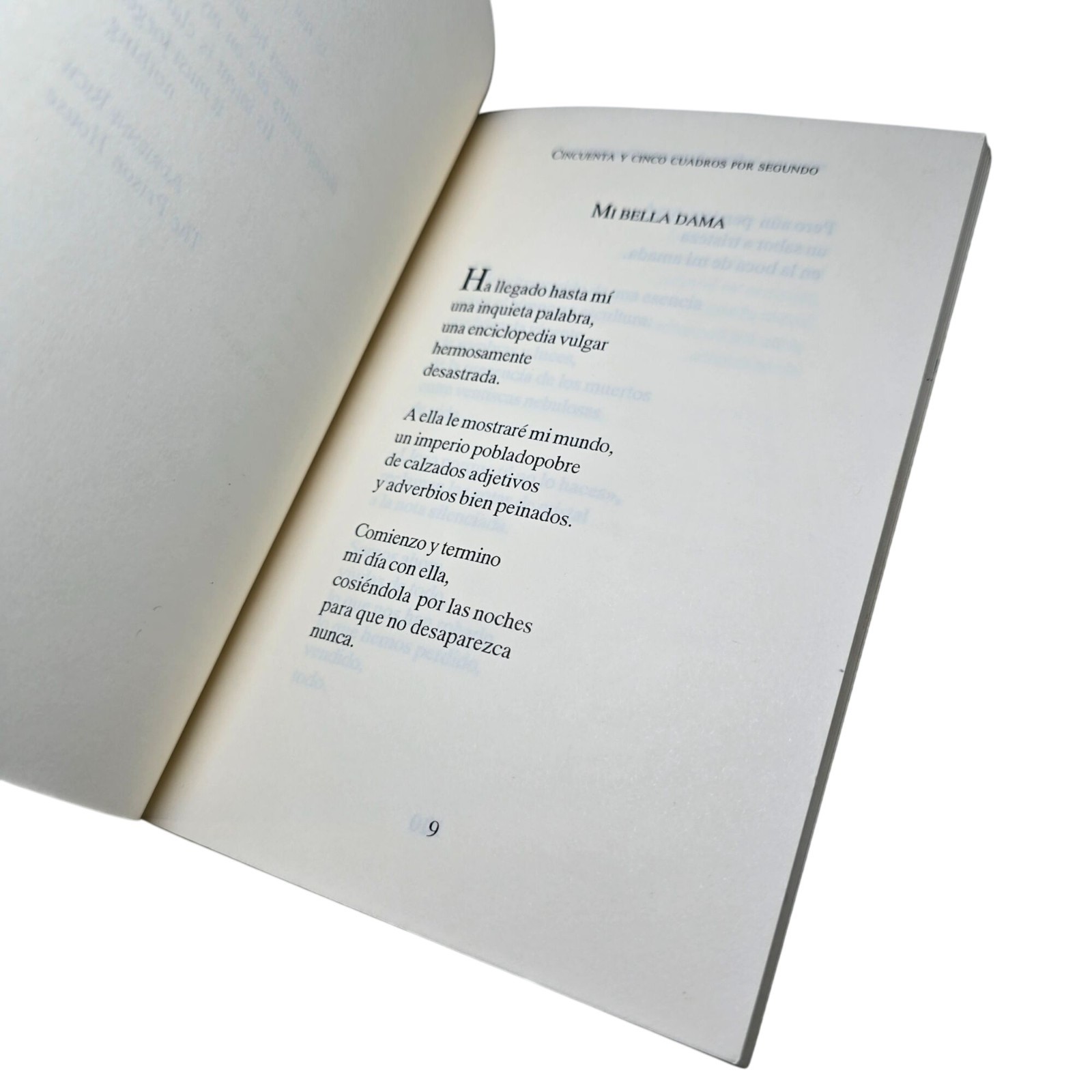 Cincuenta y Cinco Cuadros Por Segundo Flor Aguilera Garcia Poetry Mexican Poems