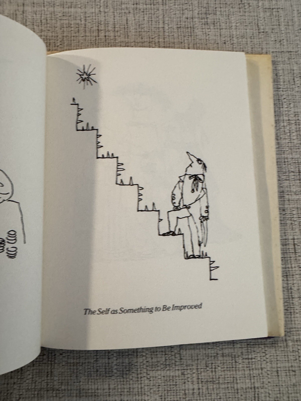 William Steig Strutters & Fretters 1992 1st Ed Hardcover w/DJ Cartoon Humor