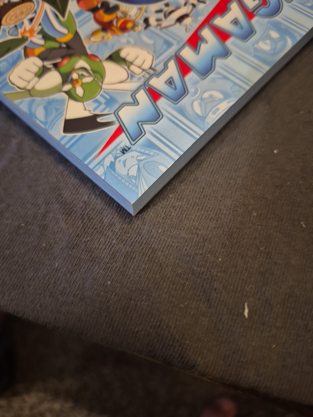 MegaMan Robot Master Field Guide – unknown_binding Megaman