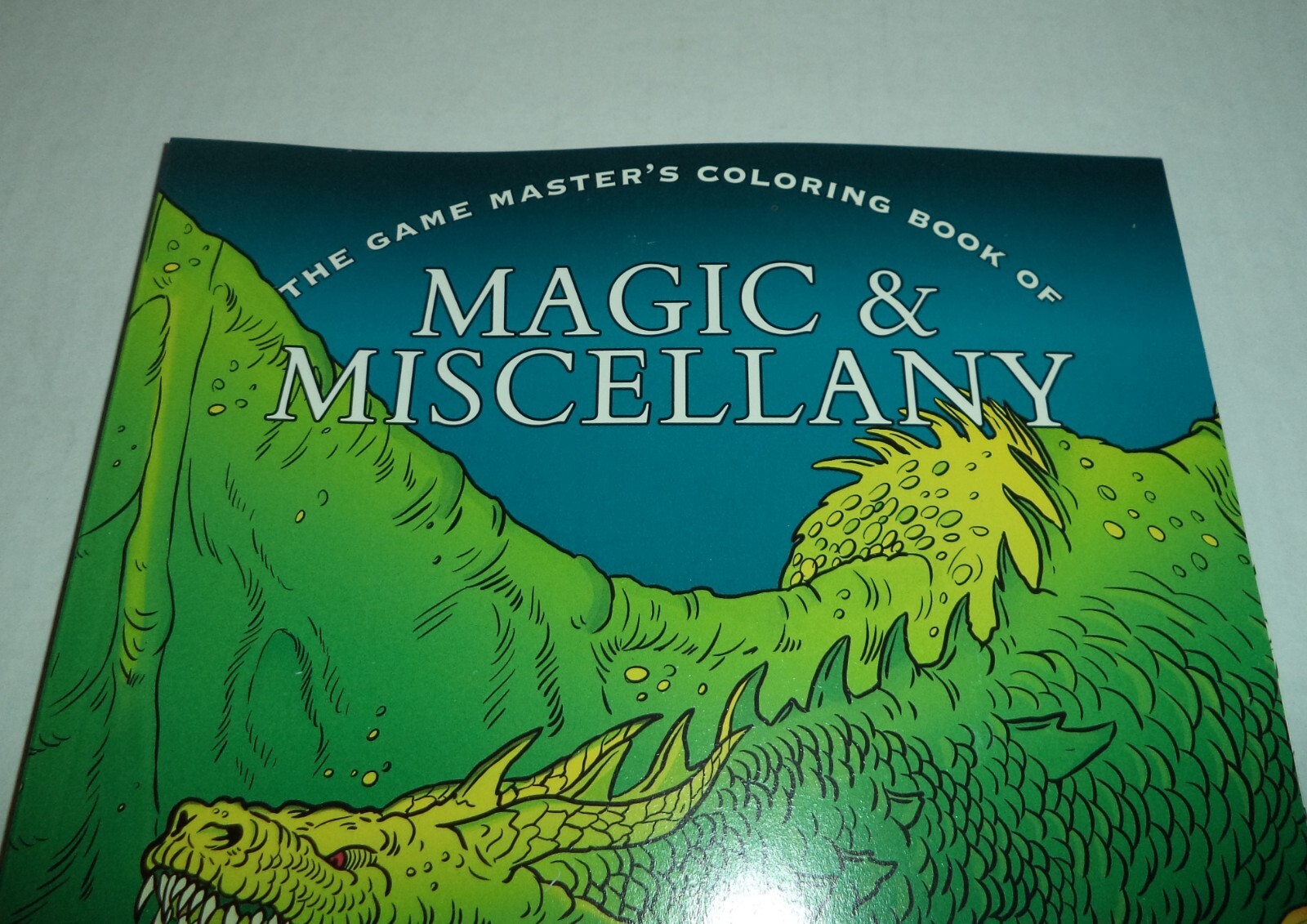 The Game Master’s Coloring Book Of Magic & Miscellany *NEW* Dragons Skulls