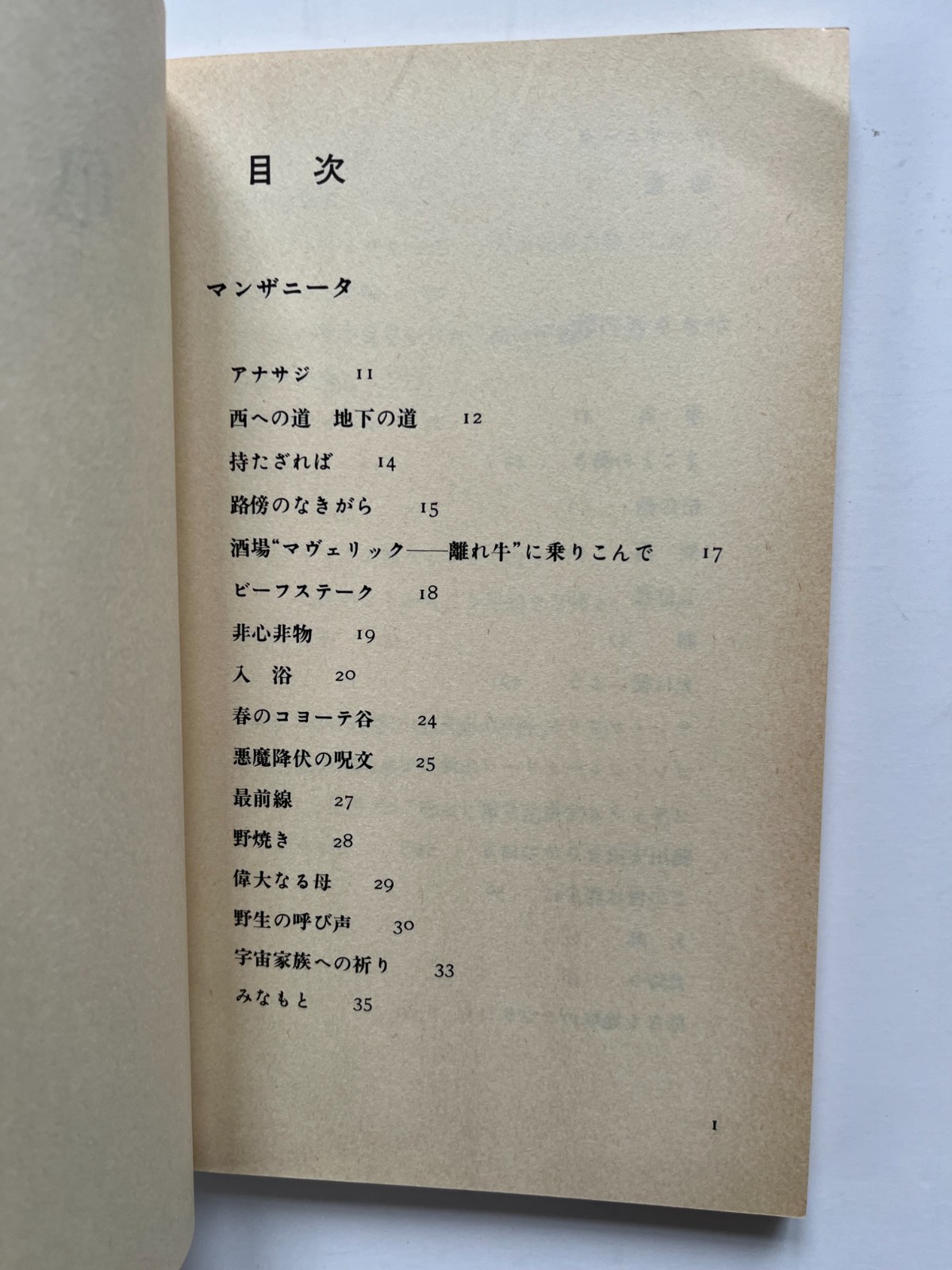 Turtle Island ~ GARY SNYDER, Nanao Sakaki, 1st Japanese language edition 1978
