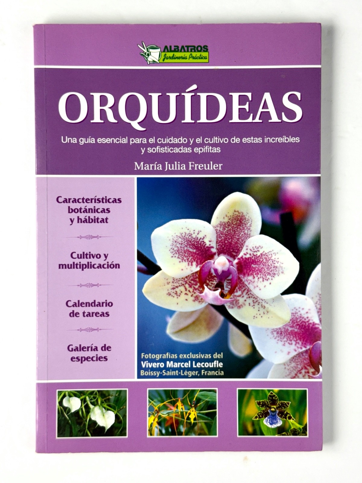 Lot of 3 Orchid Books Mark Griffiths (2005 HC) + Orquideas +Albert Hollingsworth