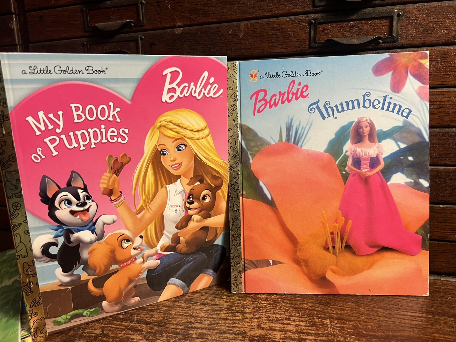 Lot of 19 Barbie: 18 Books, Xmas DVD; Step Reading 2 3; Golden; Fashion, Puppies