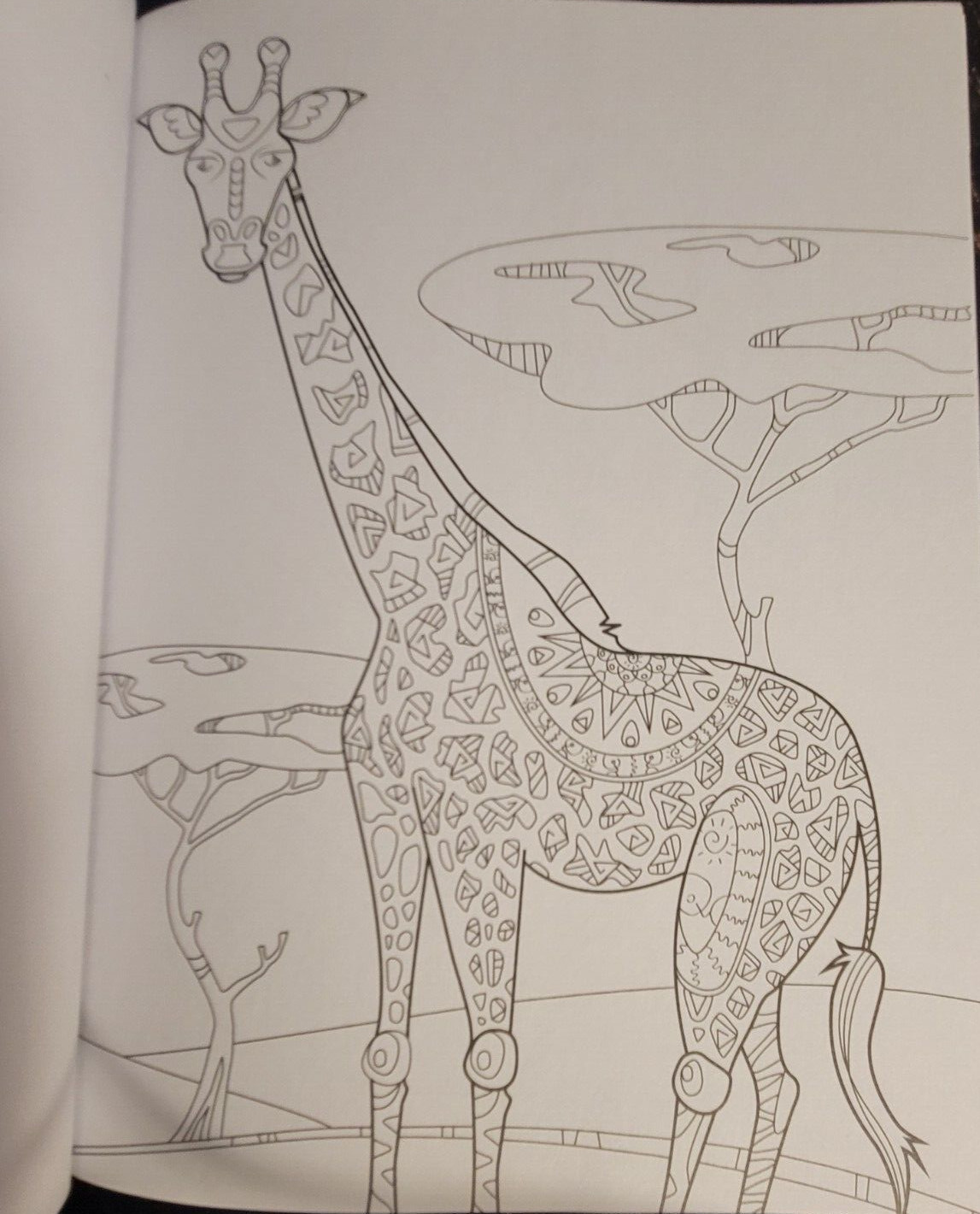 COLORS OF THE WILD Vol. 21 Adult Coloring Book With 47 Prints Ready To Frame!