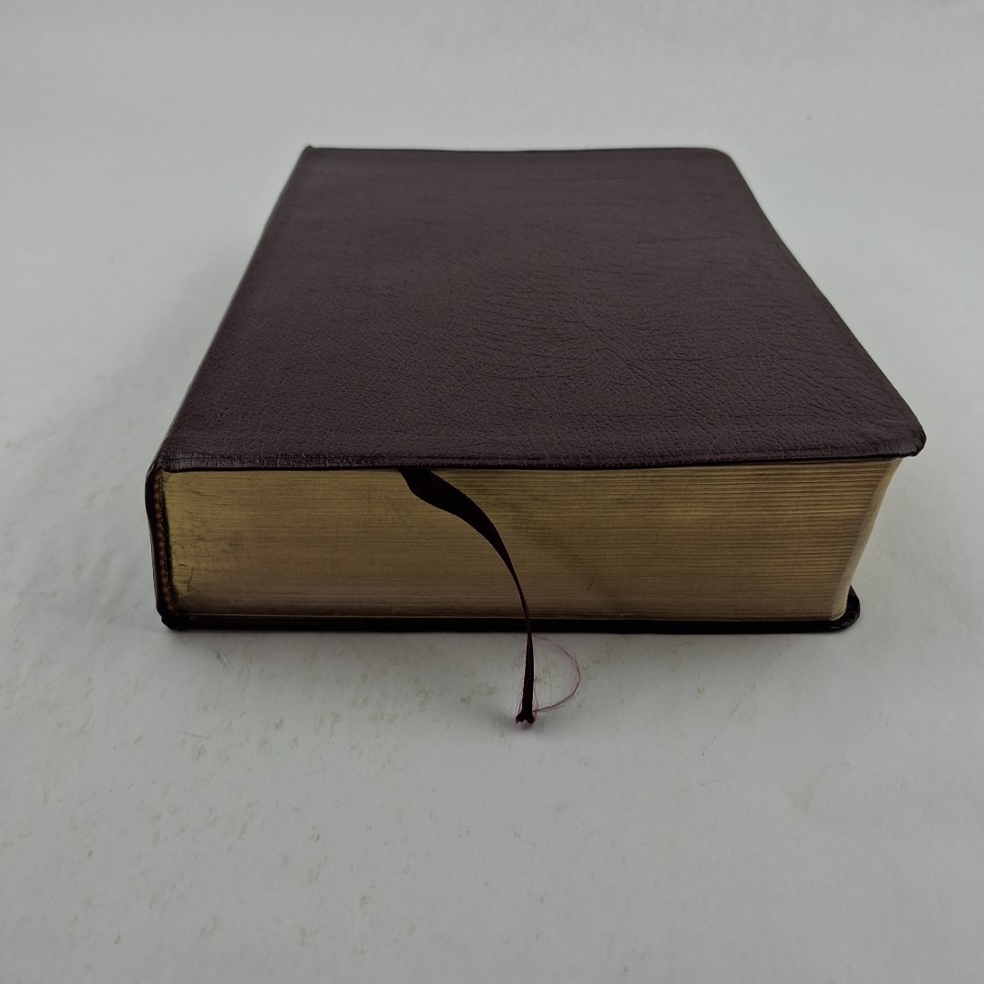 The Quest Study Bible New International Version Bonded Leather Large Print