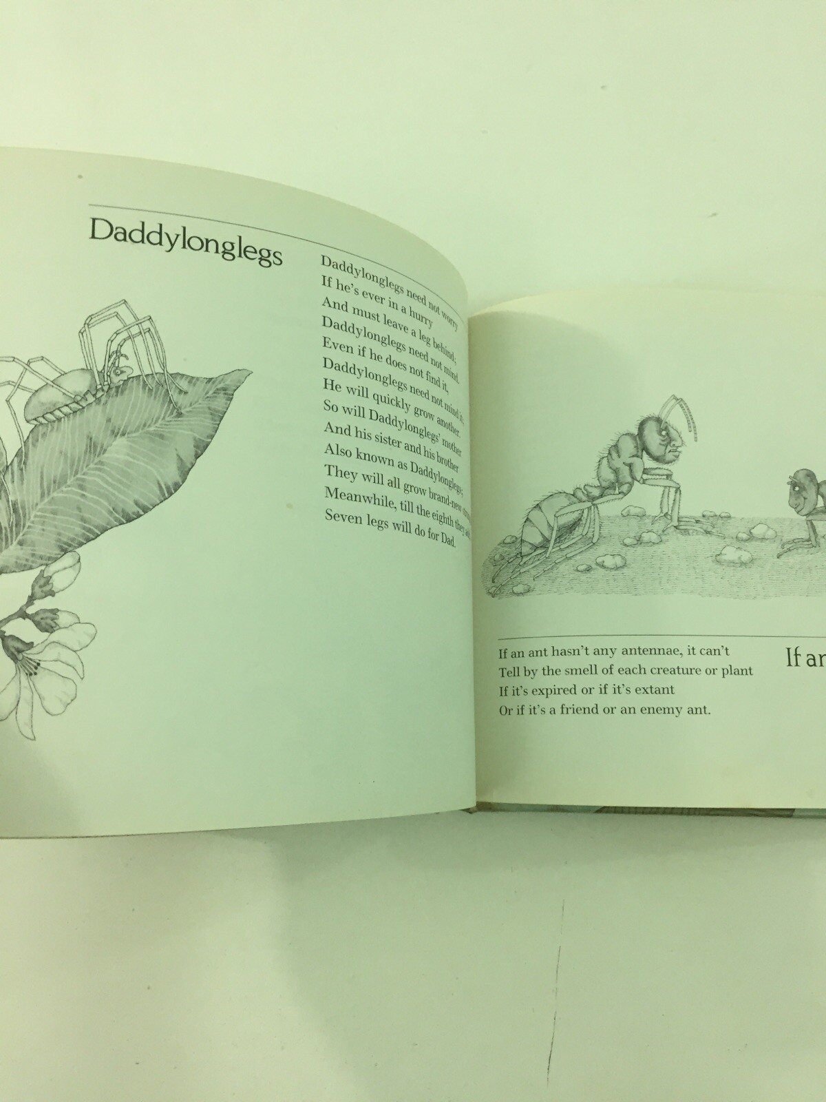 Bugs : Poems – Mary Ann Hoberman (1976, Hardcover)