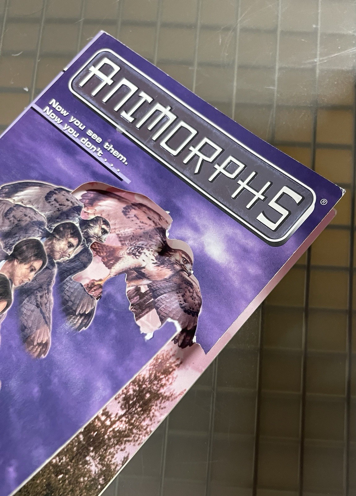 Animorphs Books 1-5 (1,2,3,4,5) Book Lot SET K.A. Applegate 1st Ed. Scholastic