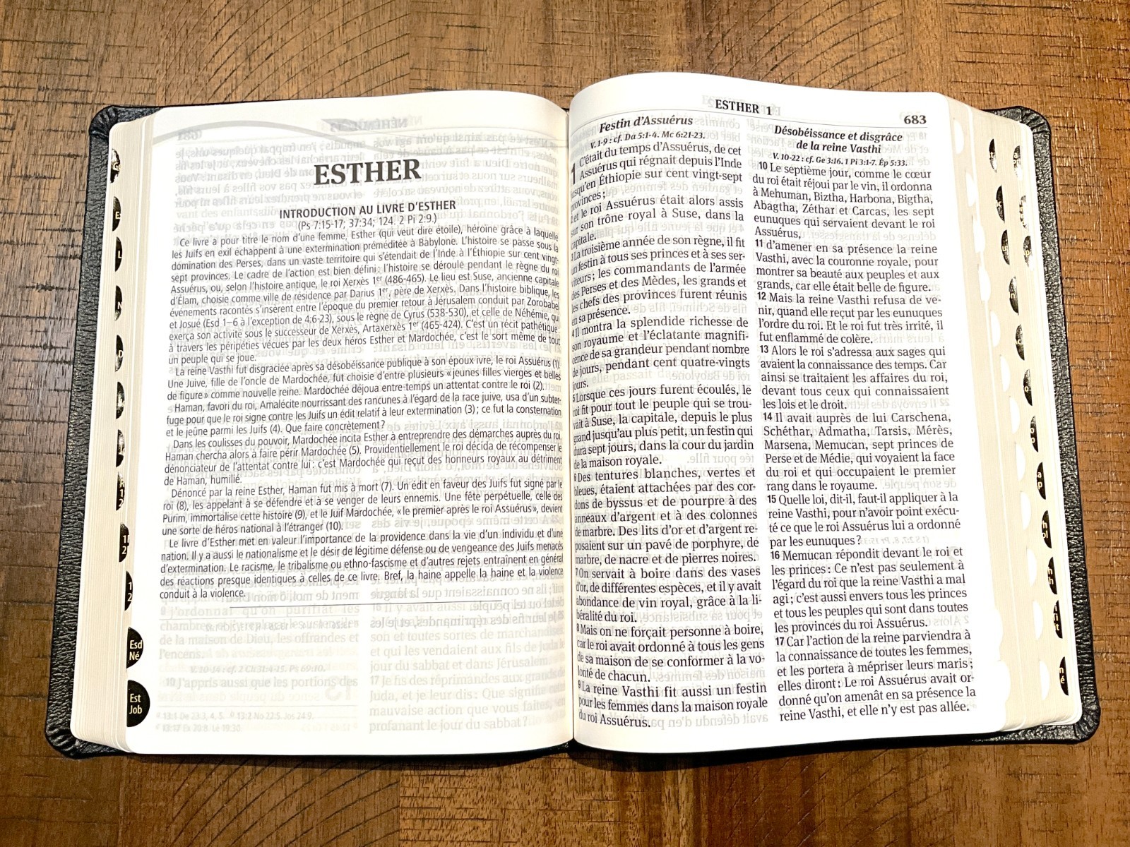 French Bible LARGE PRINT, Segond 1910 Bonded Leather Thumb Index, Red Letter