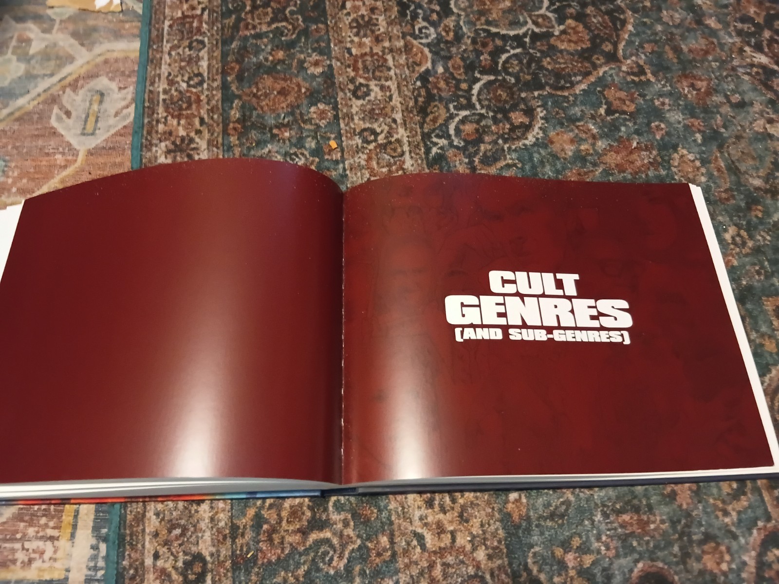 OOP Rare Cult Cinema : An Arrow Video Companion Hardcover GREAT HORROR FAN GIFT