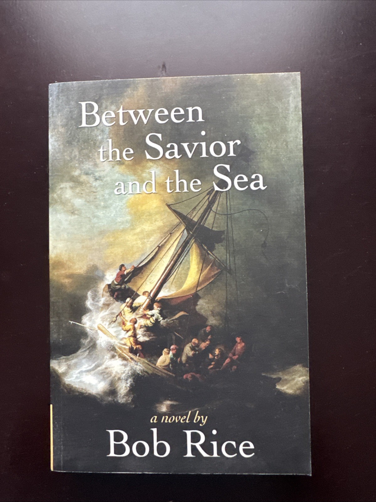 Between the Savior and the Sea by Bob Rice (2011, Trade Paperback)