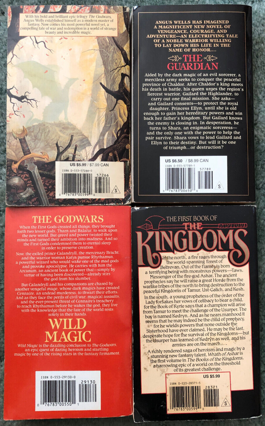 Angus Wells books, lot of 4, Lords of the Sky, The Guardian, Wild Magic