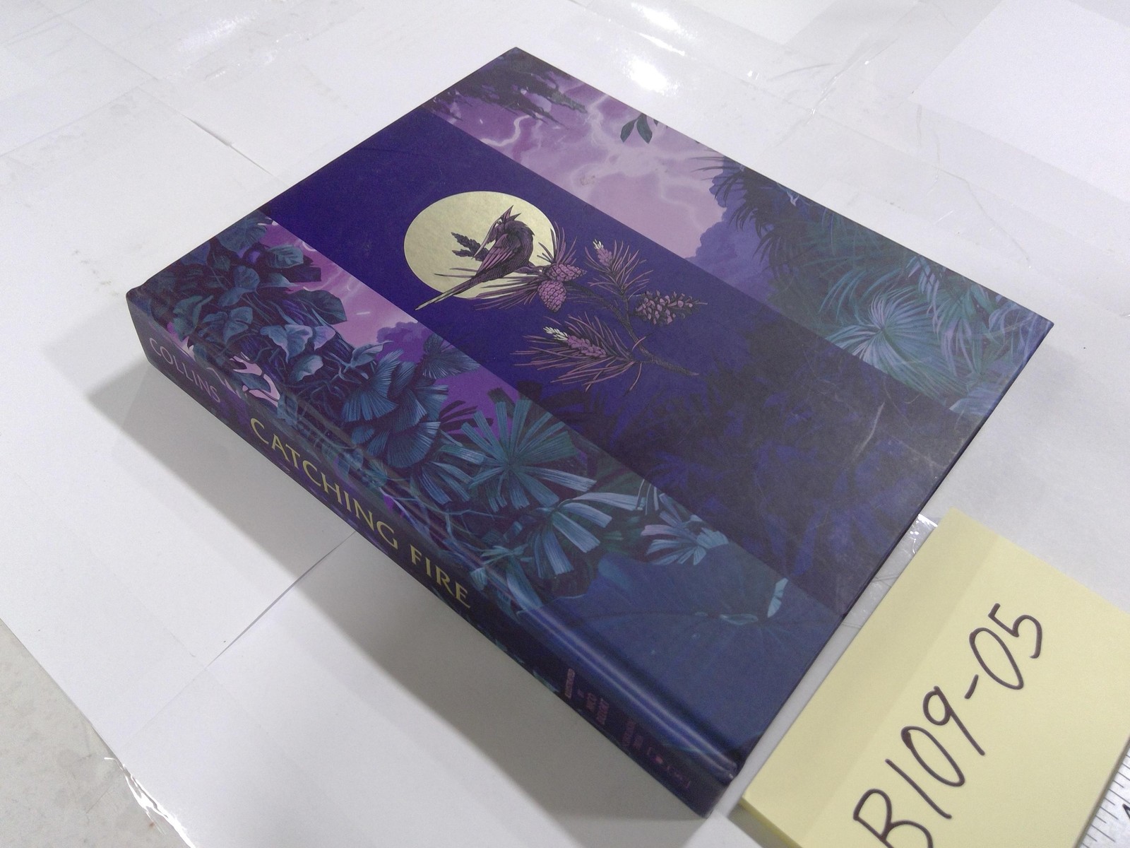 Catching Fire Suzanne Collins Scholastic Purple HC YA Dystopian Fantasy Novel