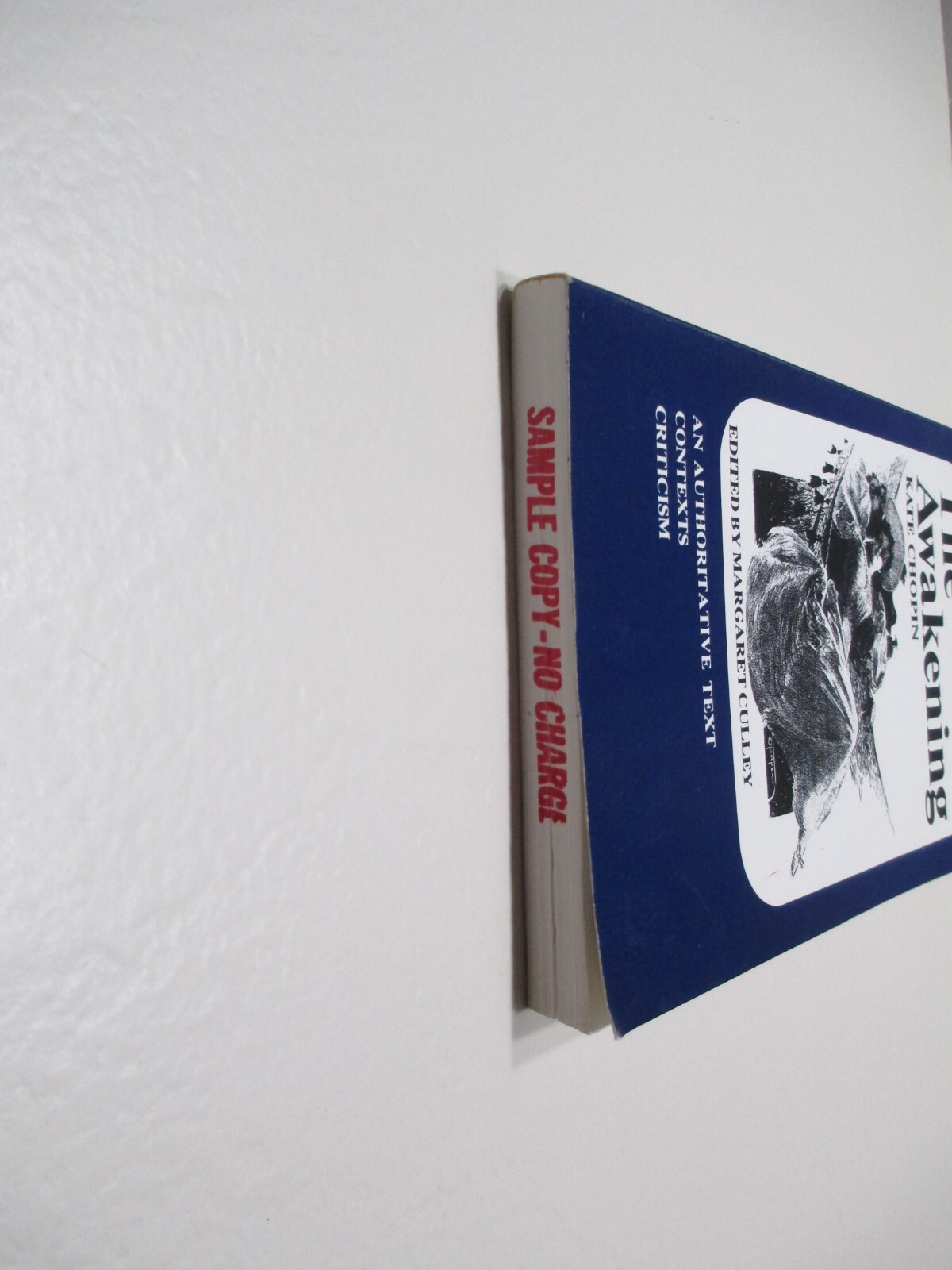 The Awakening – Kate Chopin – PB Norton Critical Edition *READ DESCRIPTION*