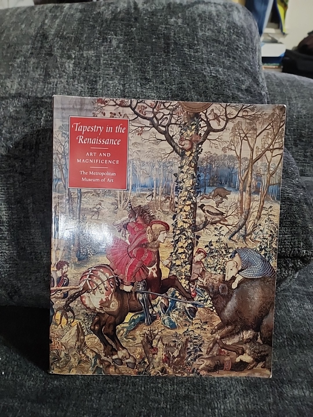 Tapestry in the Renaissance : Art and Magnificence by Thomas P. Campbell (2006,
