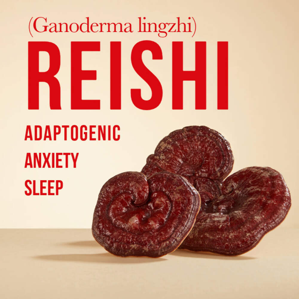 DerMush Face Cream 2 oz with Snow Mushroom, Reishi, Chaga