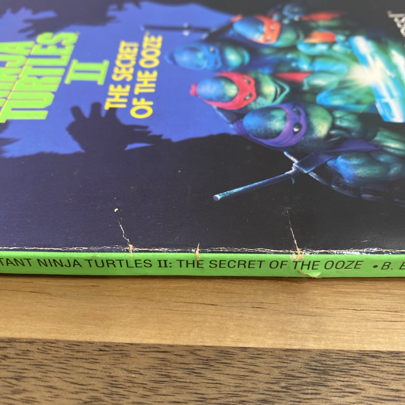 Teenage Mutant Ninja Turtles II The Secret of the Ooze Paperback – BB Hiller