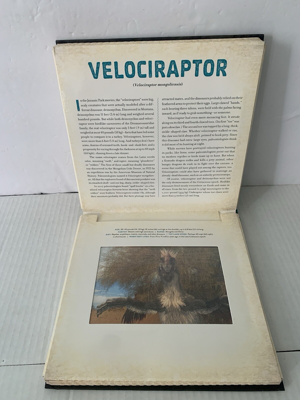 Dinosaur: A Photicular Book