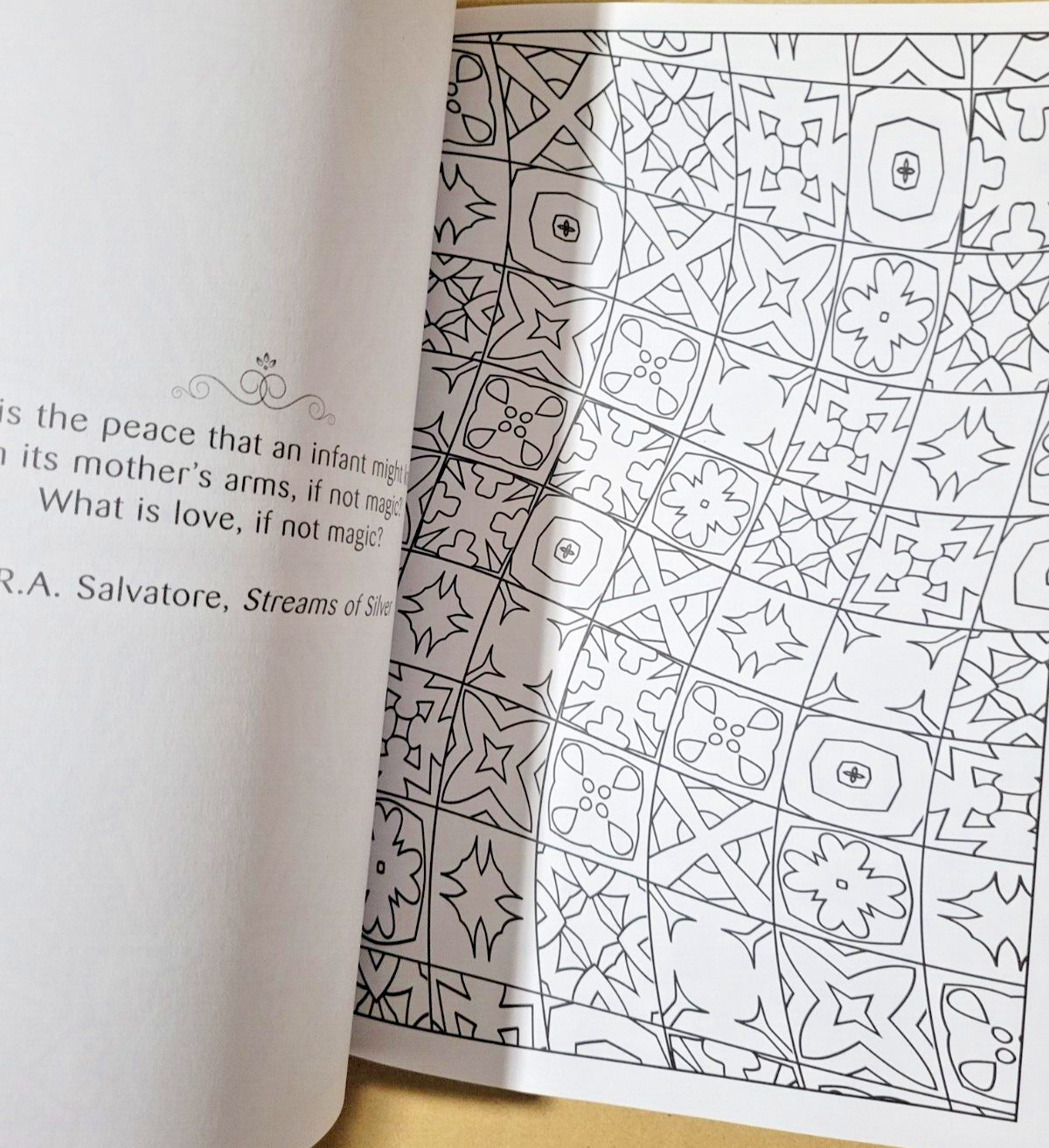 SPLASH OF COLOR – Vol. 27 – Creative Expressions Adult Coloring Book