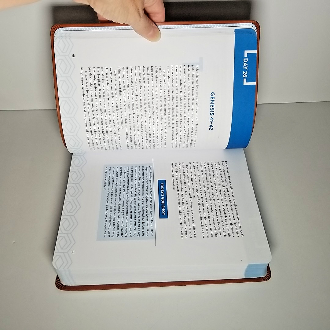 The Bible Recap Deluxe Edition: A One-Year Guide – Tara Leigh Cobble – Bethany