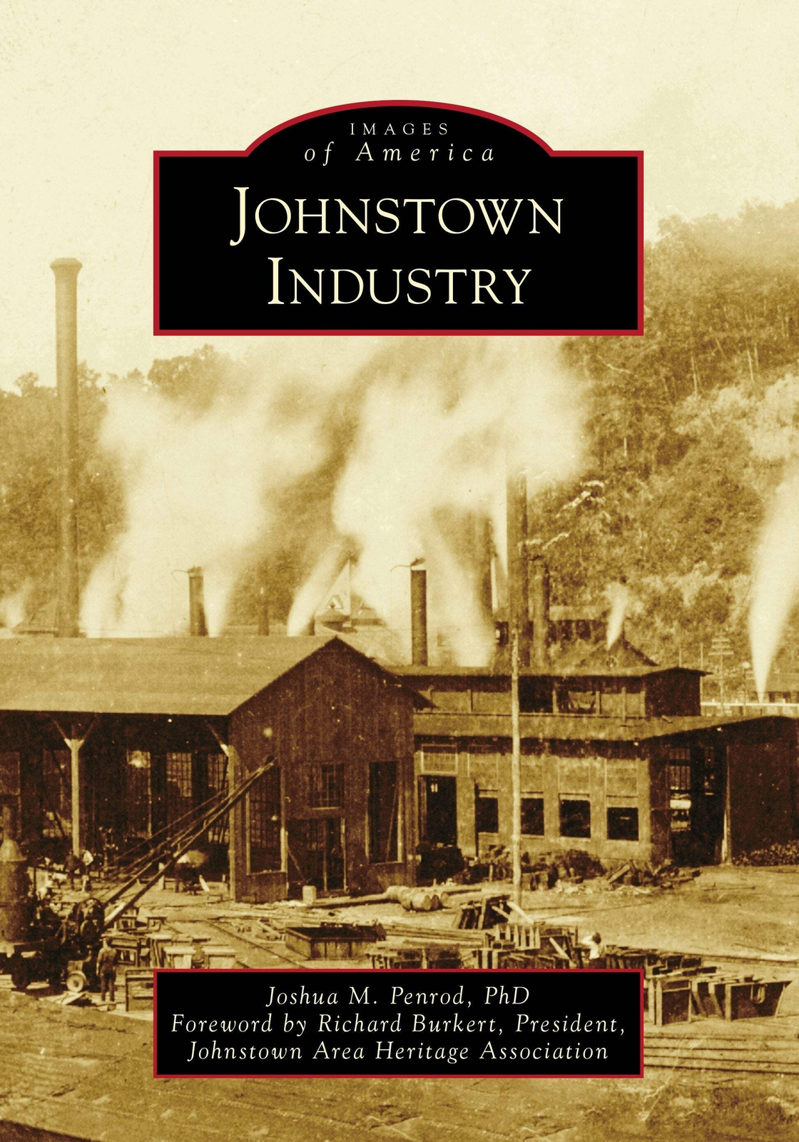 NEW Arcadia Publishing Johnstown Industry, PA 9781467106627 Images of America Tr
