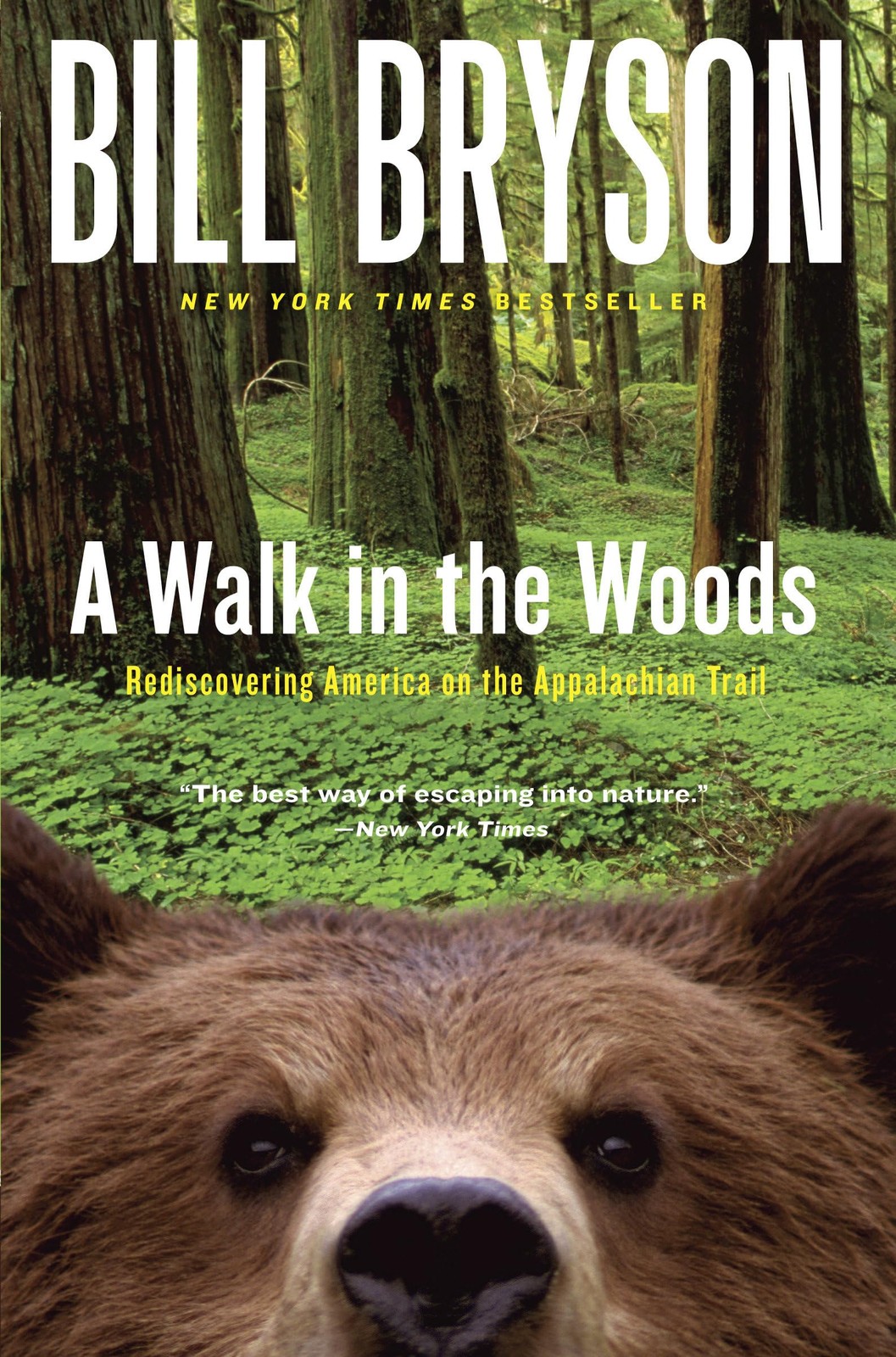 A Walk in the Woods: Rediscovering America on the Appalachian Trail (Officia…