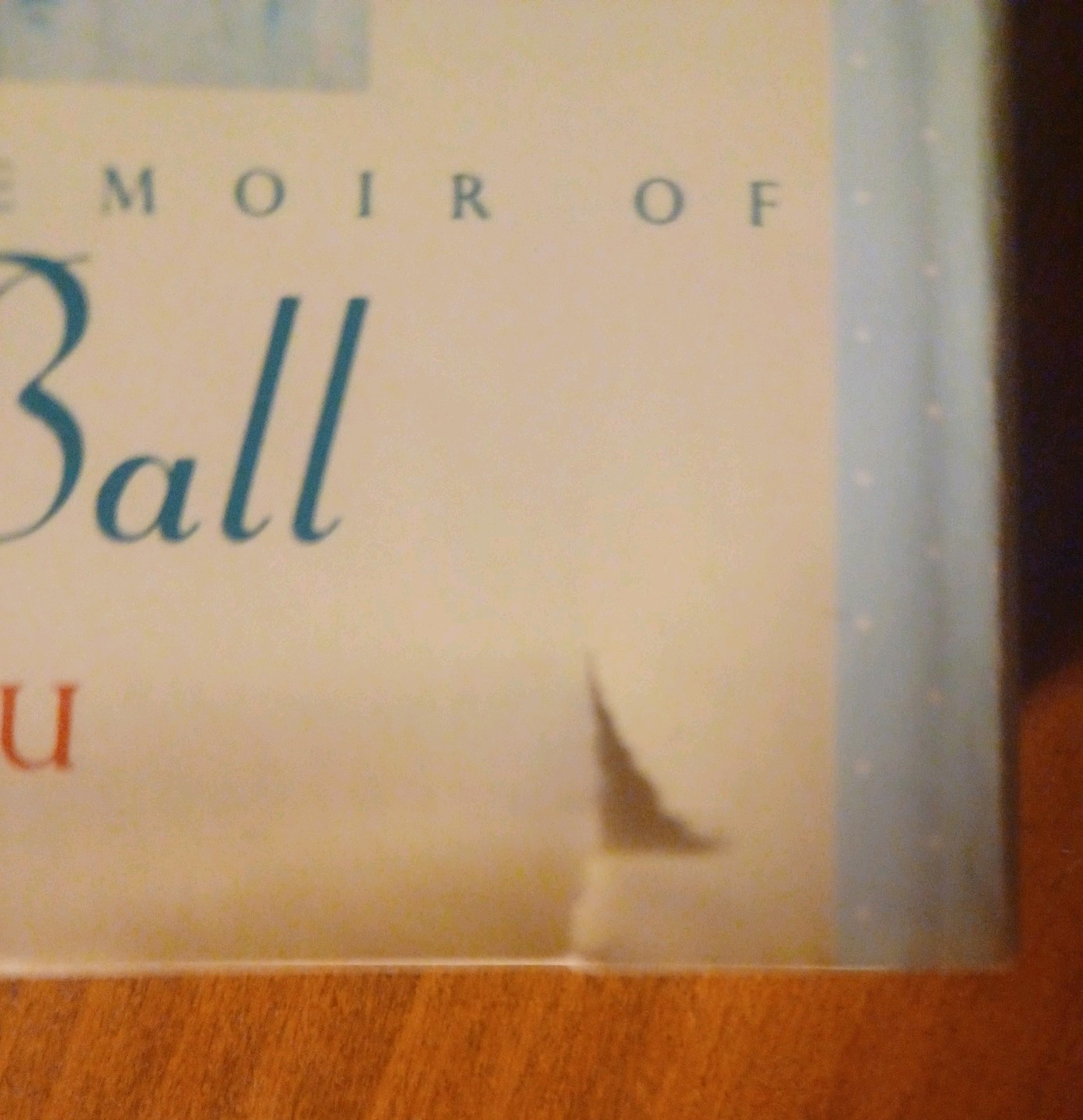 Lucy in the Afternoon: An Intimate Biography of Lucille Ball by Jim Brochu