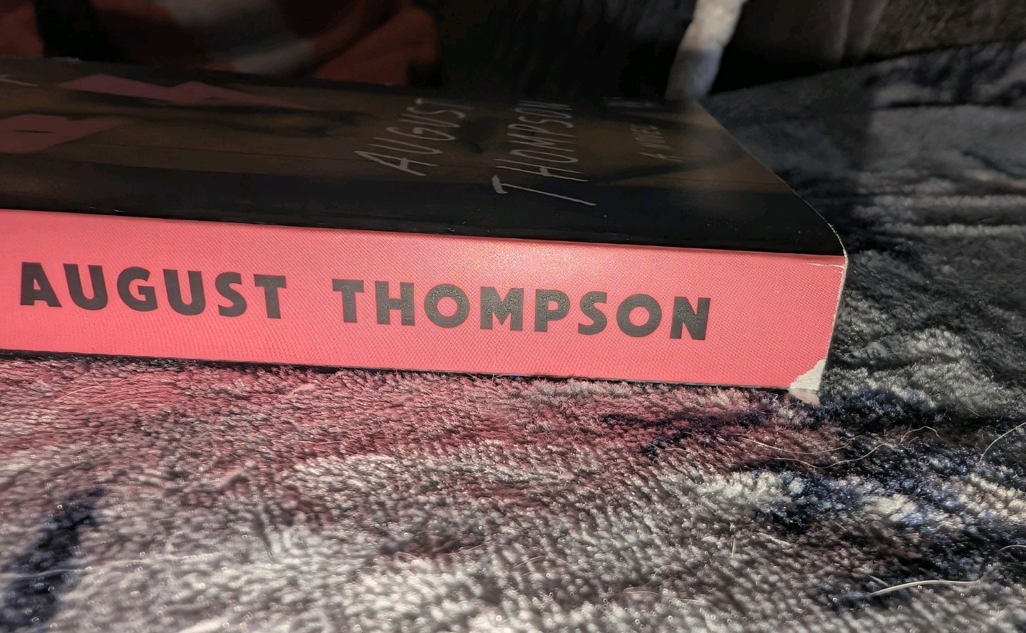 Anyone’s Ghost a Novel by August Thompson (2025, Trade Paperback) Acceptable