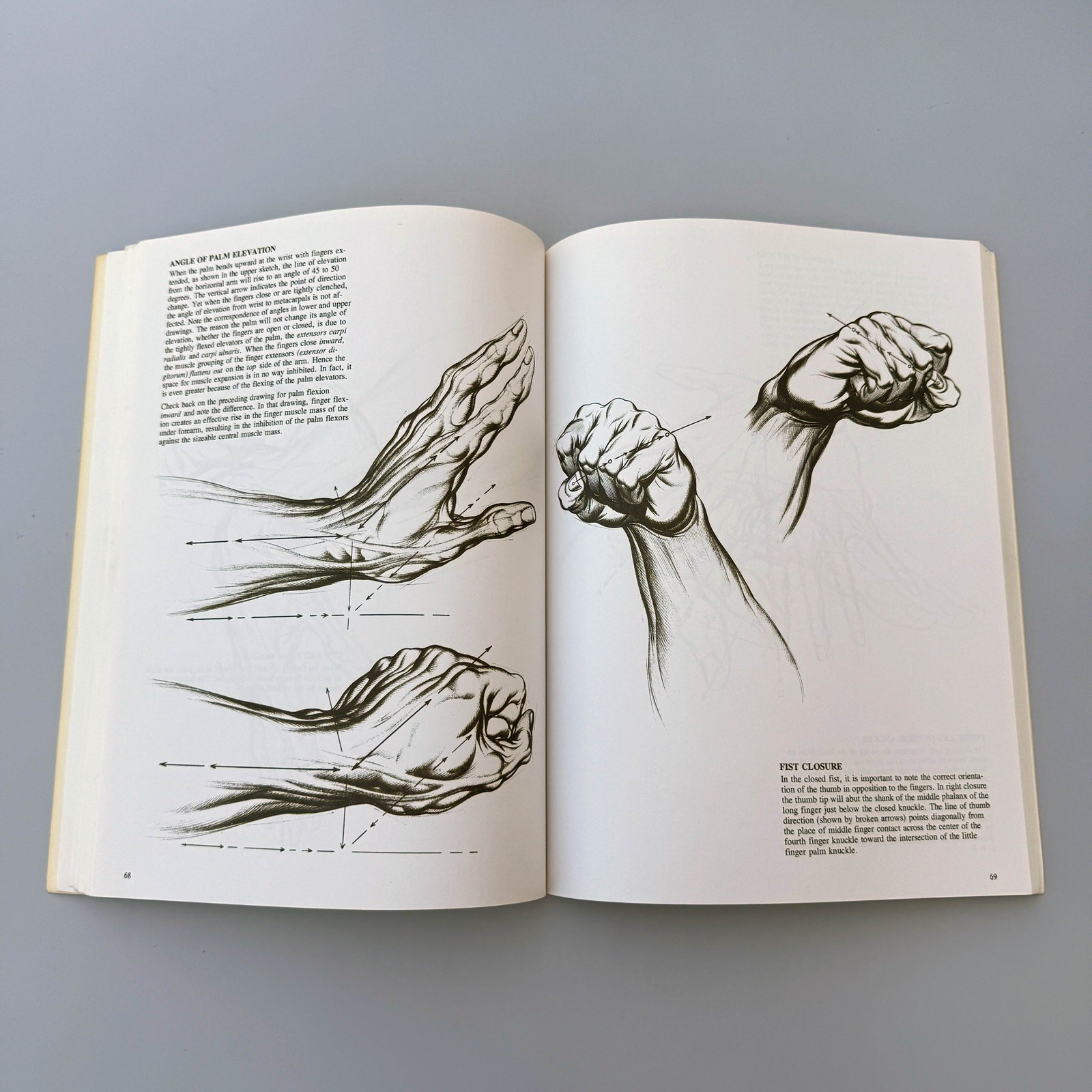 Drawing Dynamic Hands Burne Hogarth Paperback Book Figure Drawing