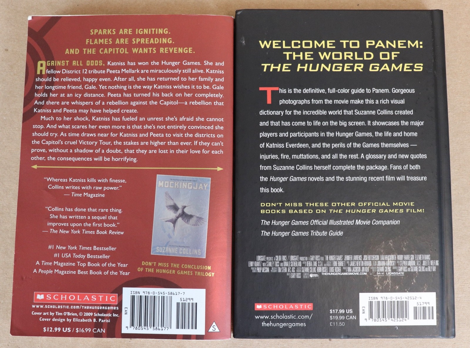 10 THE HUNGER GAMES by Suzanne Collins GUIDED READING Teachers Set + Extras