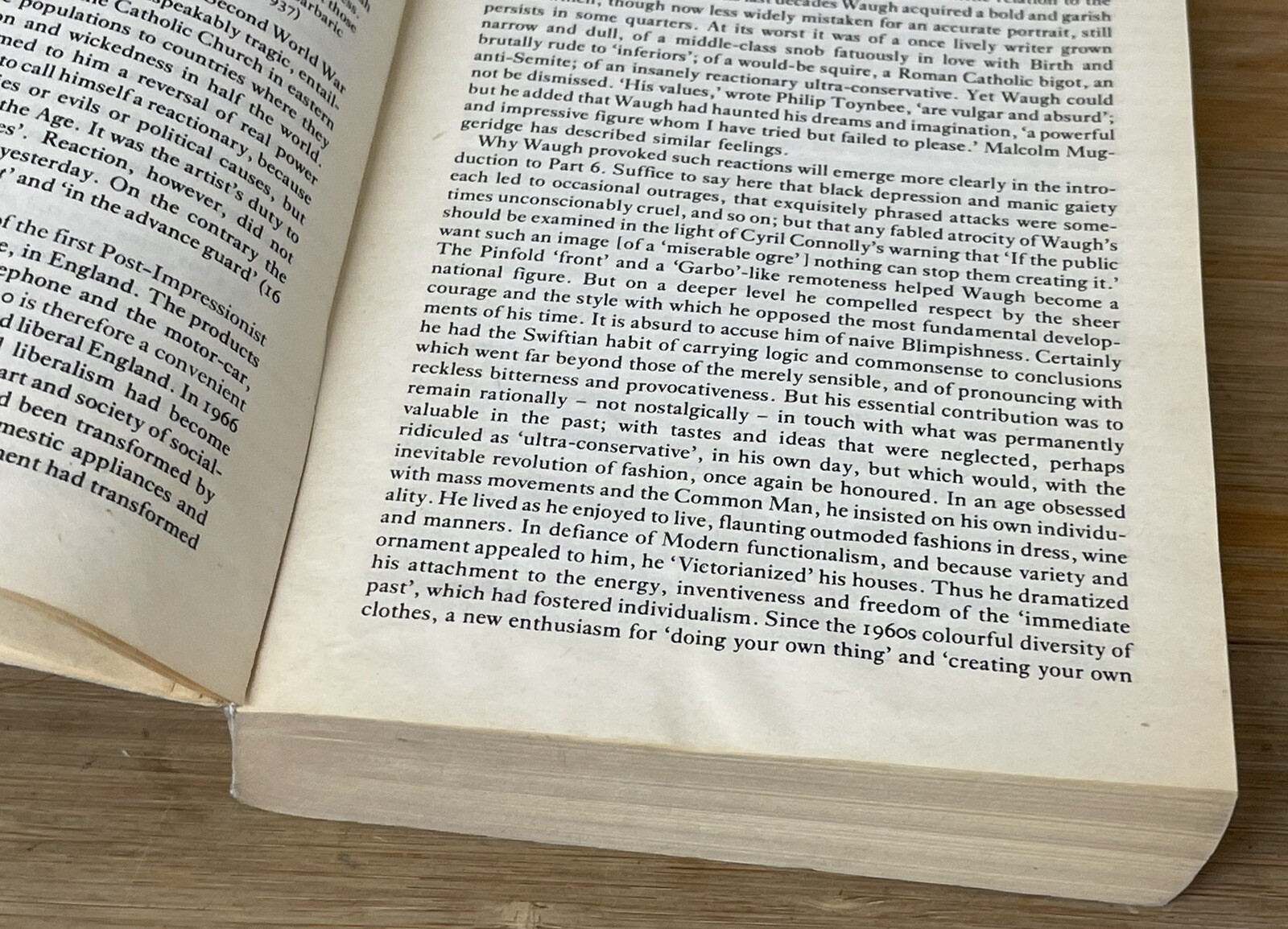 Vintage The Essays, Articles and Reviews of Evelyn Waugh PB Penguin 1986