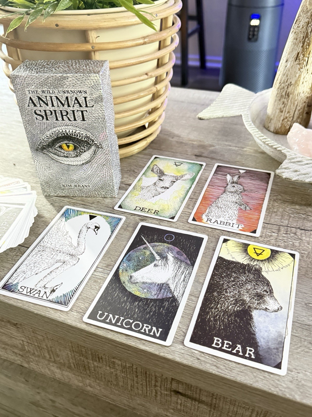 The Wild Unknown Animal Spirit Deck (official Keepsake Box Set By Kim Krans)