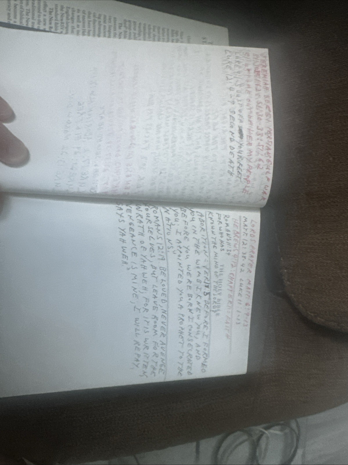 The New Revised Standard Version Bible with Apocrypha by Nrsv Bible NRSV…