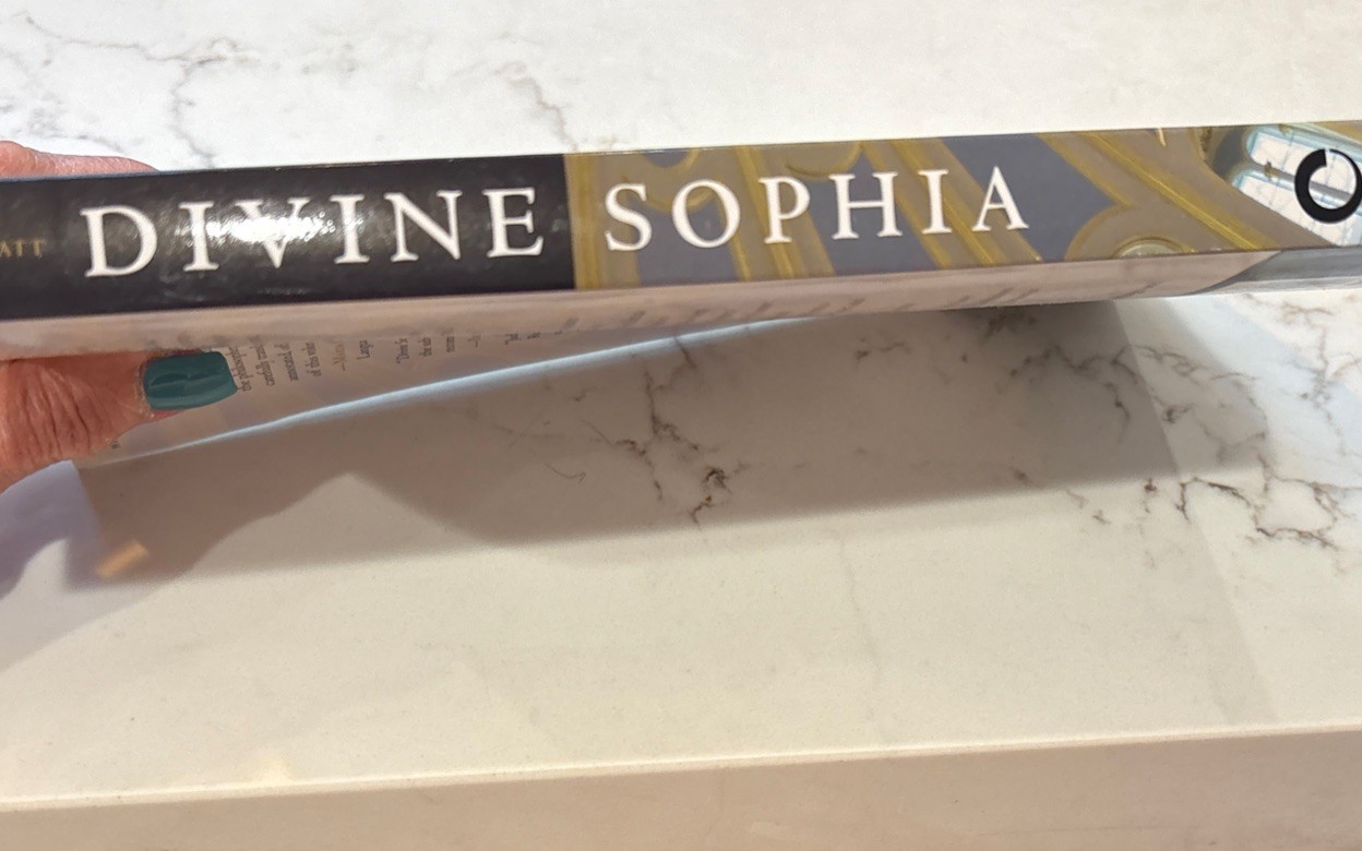 Divine Sophia: The Wisdom Writings of Vladimir Solovyov SC 2009 EUC
