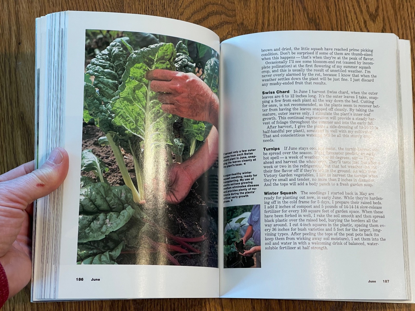 “The New Victory Garden” VTG Book by Bob Thomson, 1st Edition, 1987, 294 Pages