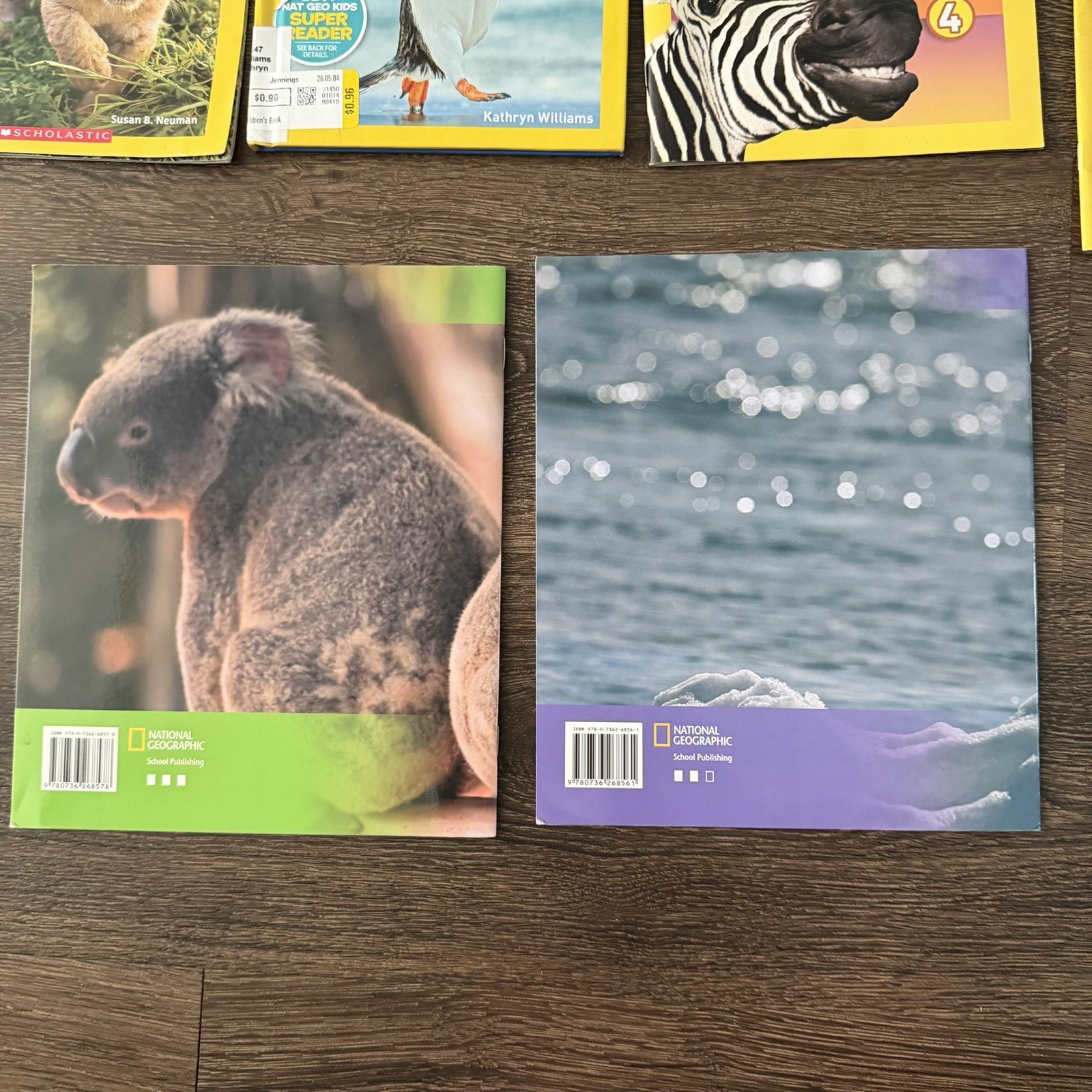 National Geographic Kids Reader Lot 17 Sharks Wolves Dolphins Polar Bears