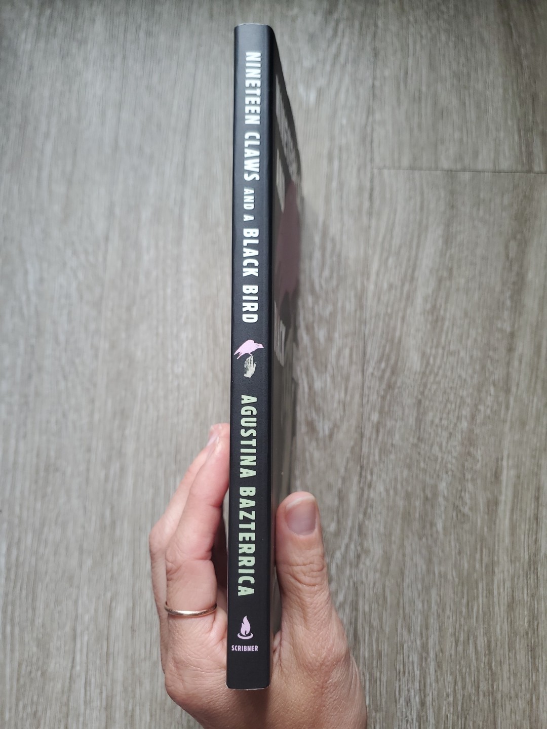 Nineteen Claws And A Blackbird By Augustina Bazterrica (2023) (New Paperback)