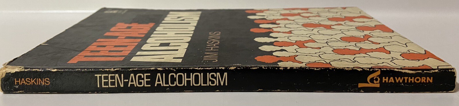 Teen-Age Alcoholism by Jim Haskins (1976 1st Paperback)