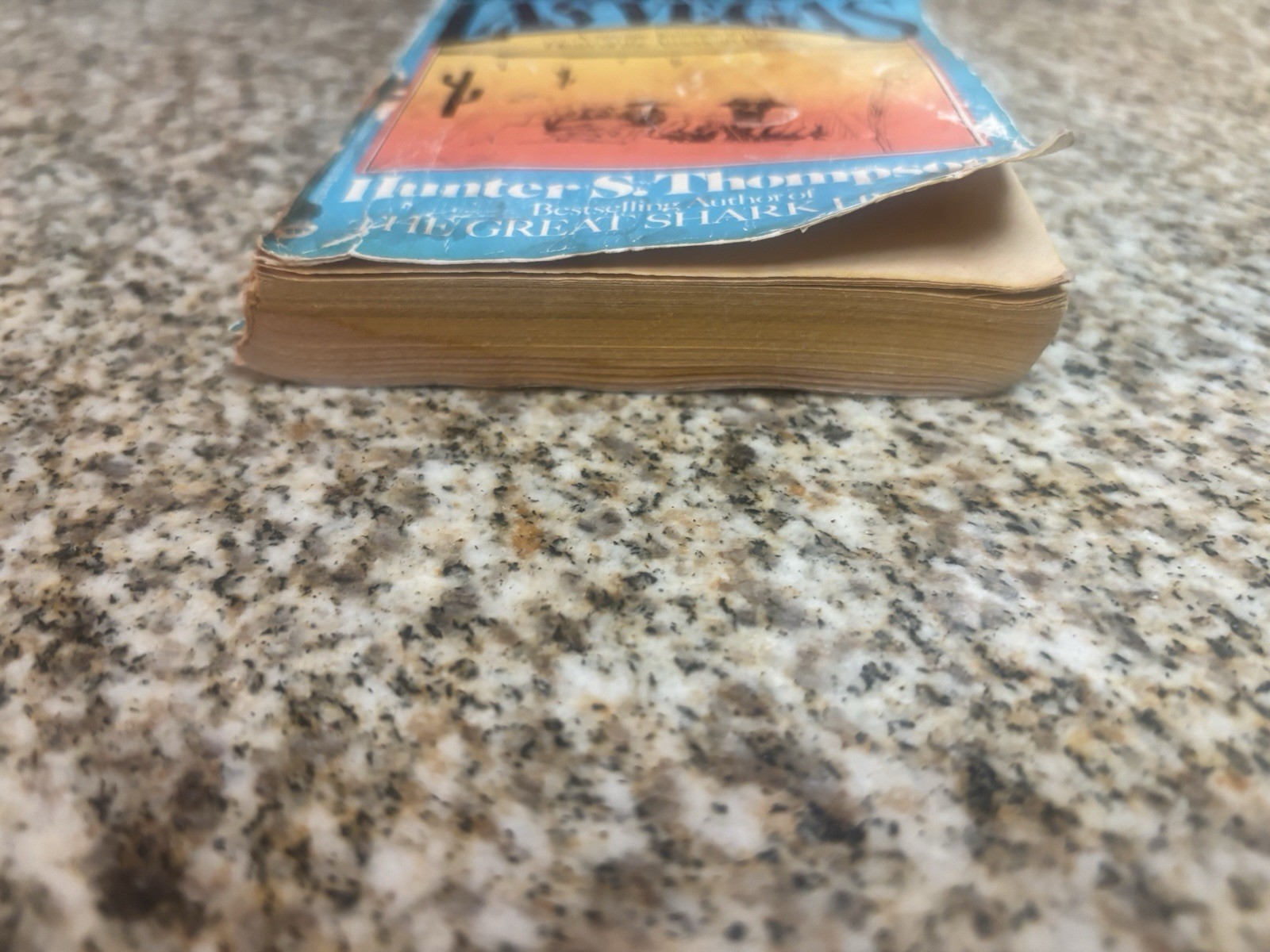 Fear & Loathing in Las Vegas Hunter S Thompson 1st Warner Printing Paperback1982