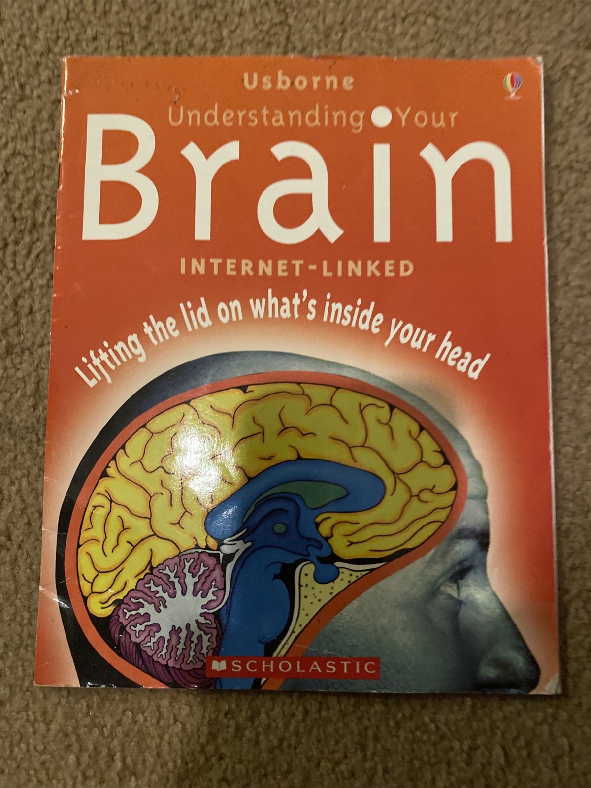 Understanding Your Brain by Rebecca Treays (Trade Paperback)