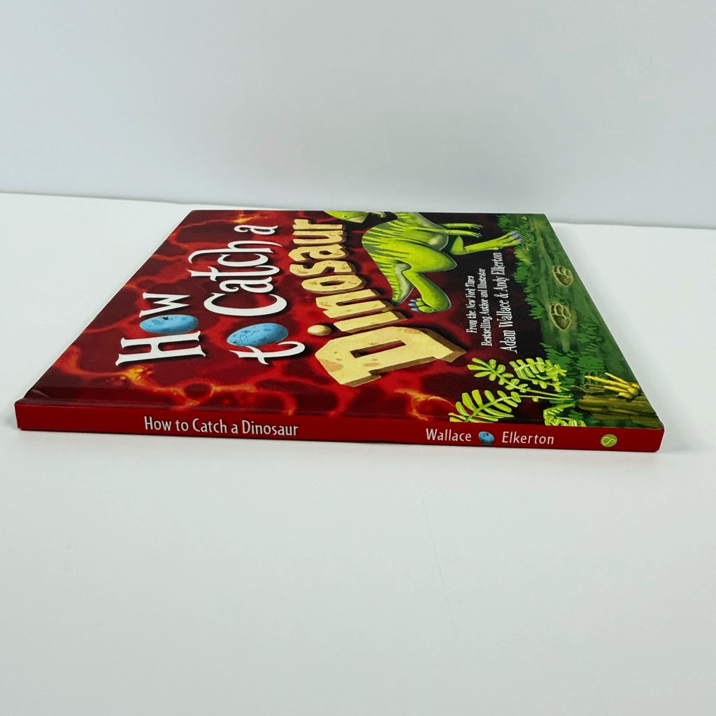 Adam Wallace’s How to Catch a Dinosaur book (Hardcover)
