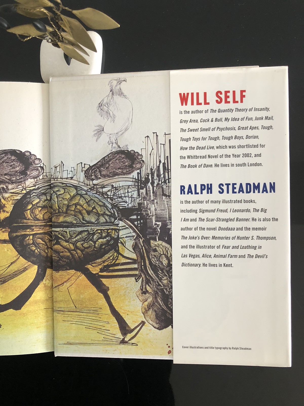 Will Self/Ralph Steadman Psycho Geography Bloomsbury 2007 First Ed/F.Print HC LN