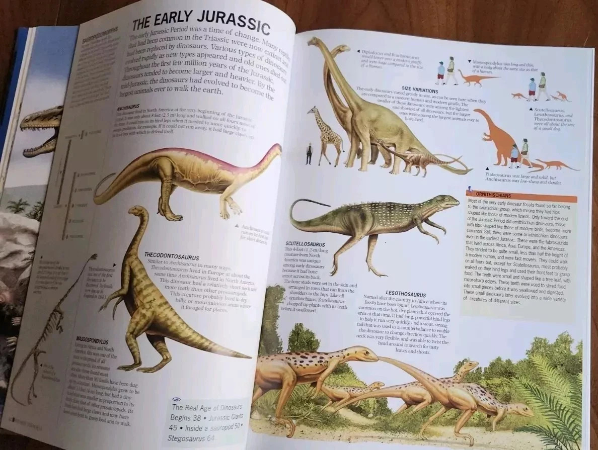 Dinosaurs Through Time by Rupert Matthews Hard Back Book