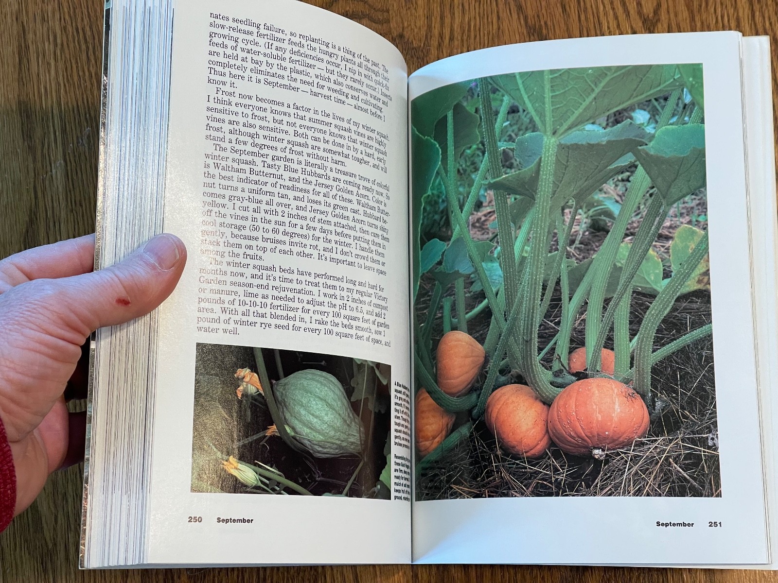 “The New Victory Garden” VTG Book by Bob Thomson, 1st Edition, 1987, 294 Pages