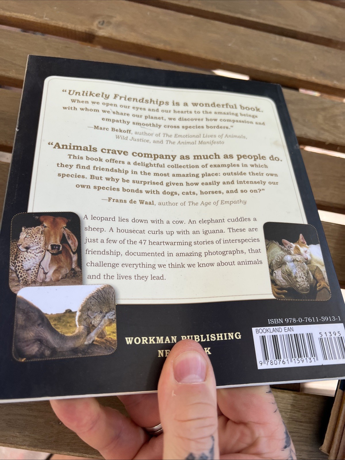 Unlikely Friendships Jennifer S. Holland Paperback Workman Animals Nature 2011