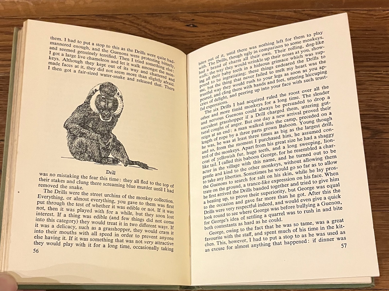 THE OVERLOADED ARK-Zoo Collecting Book-GERALD M. DURRELL-Abbreviated 1960-Ex HC!