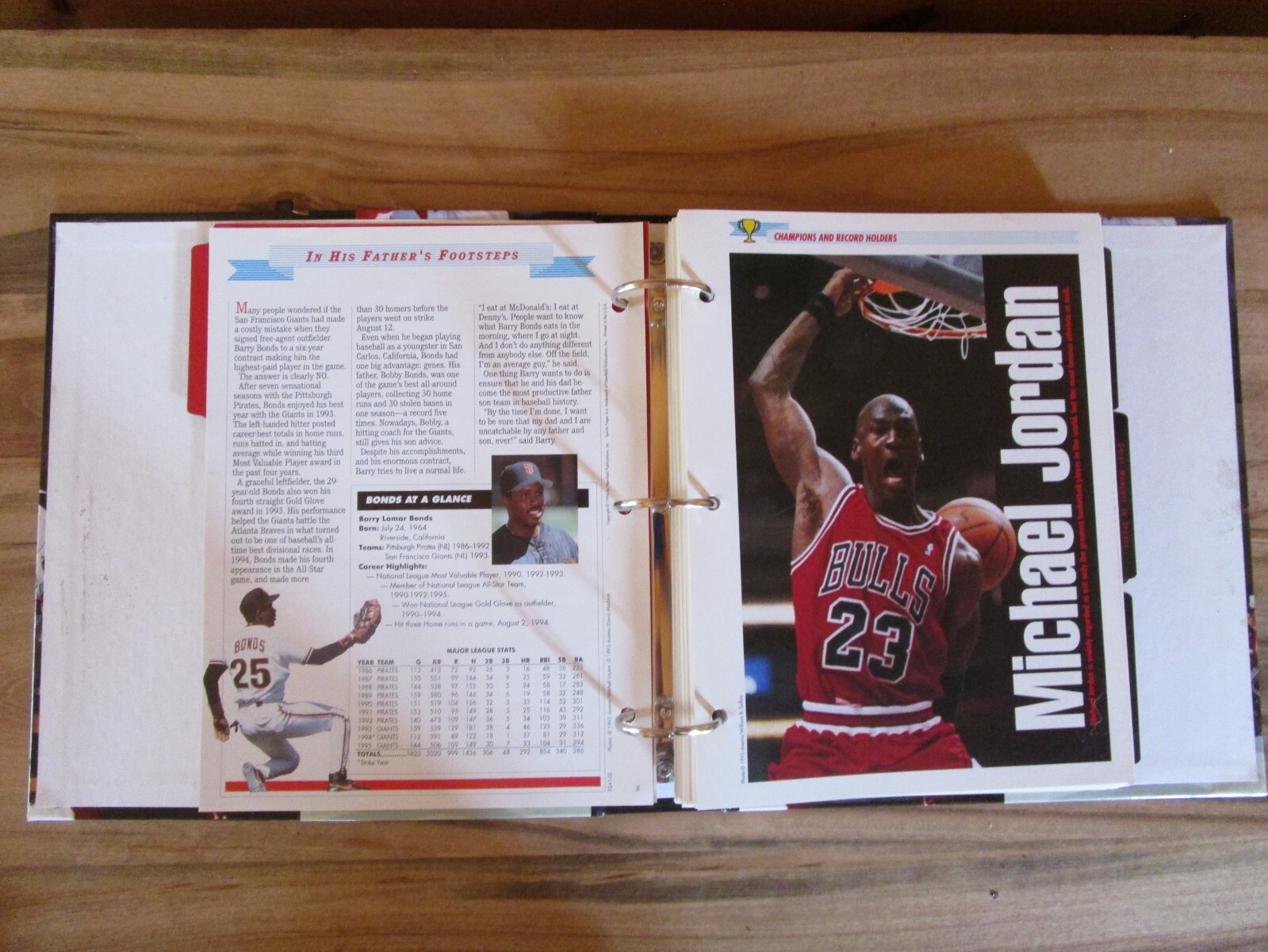Sports Pages The Book for Fans 1996 Newfield, Binder, 10 Divider Tabs, 50 Pages