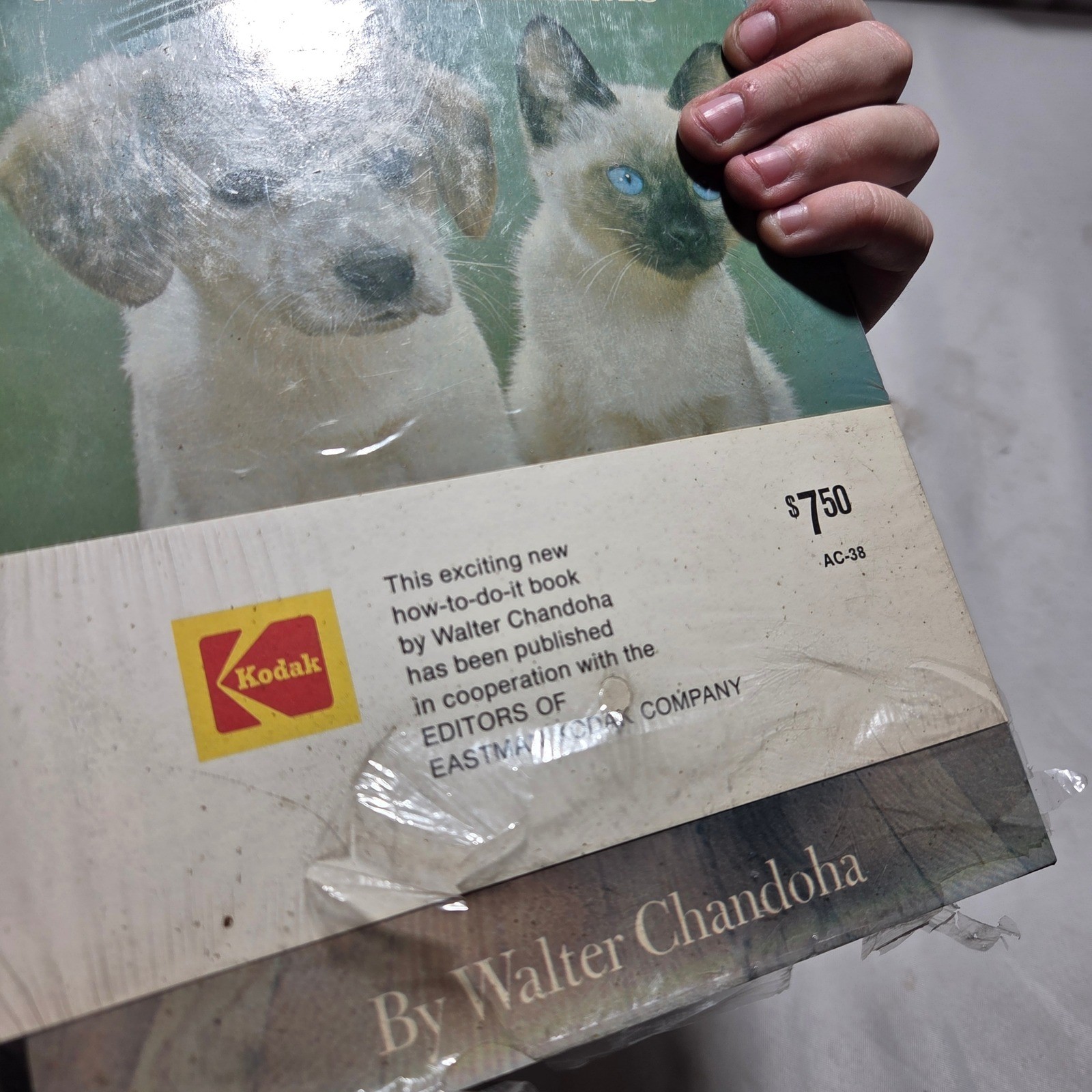 NEW Kodak Walter Chandoha How to Photograph Cats Dogs & Other Animals Book 1973