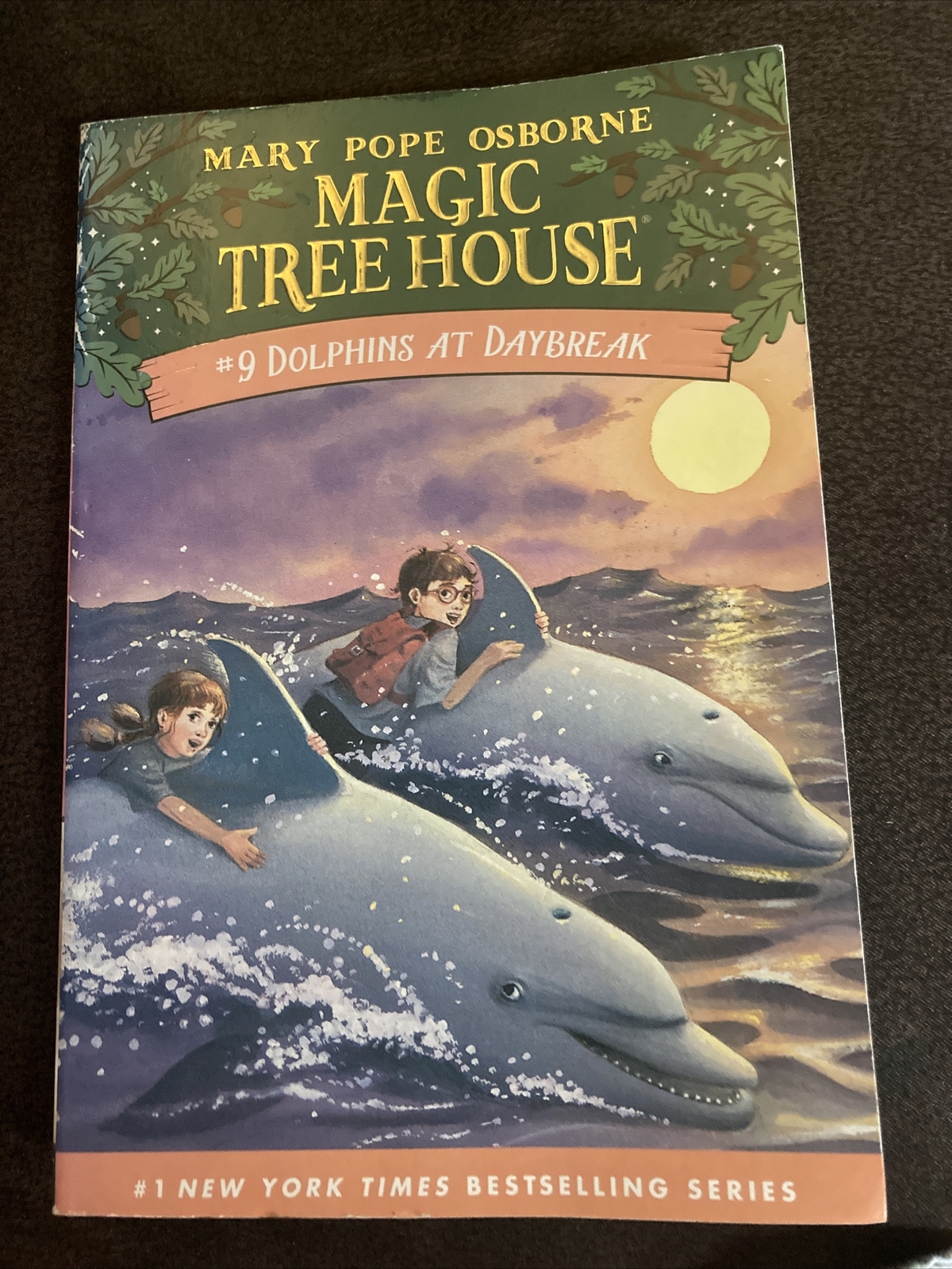 Dolphins at Daybreak Magic Tree House, Book 9. By Mary Pope Osborne. Pre-owned