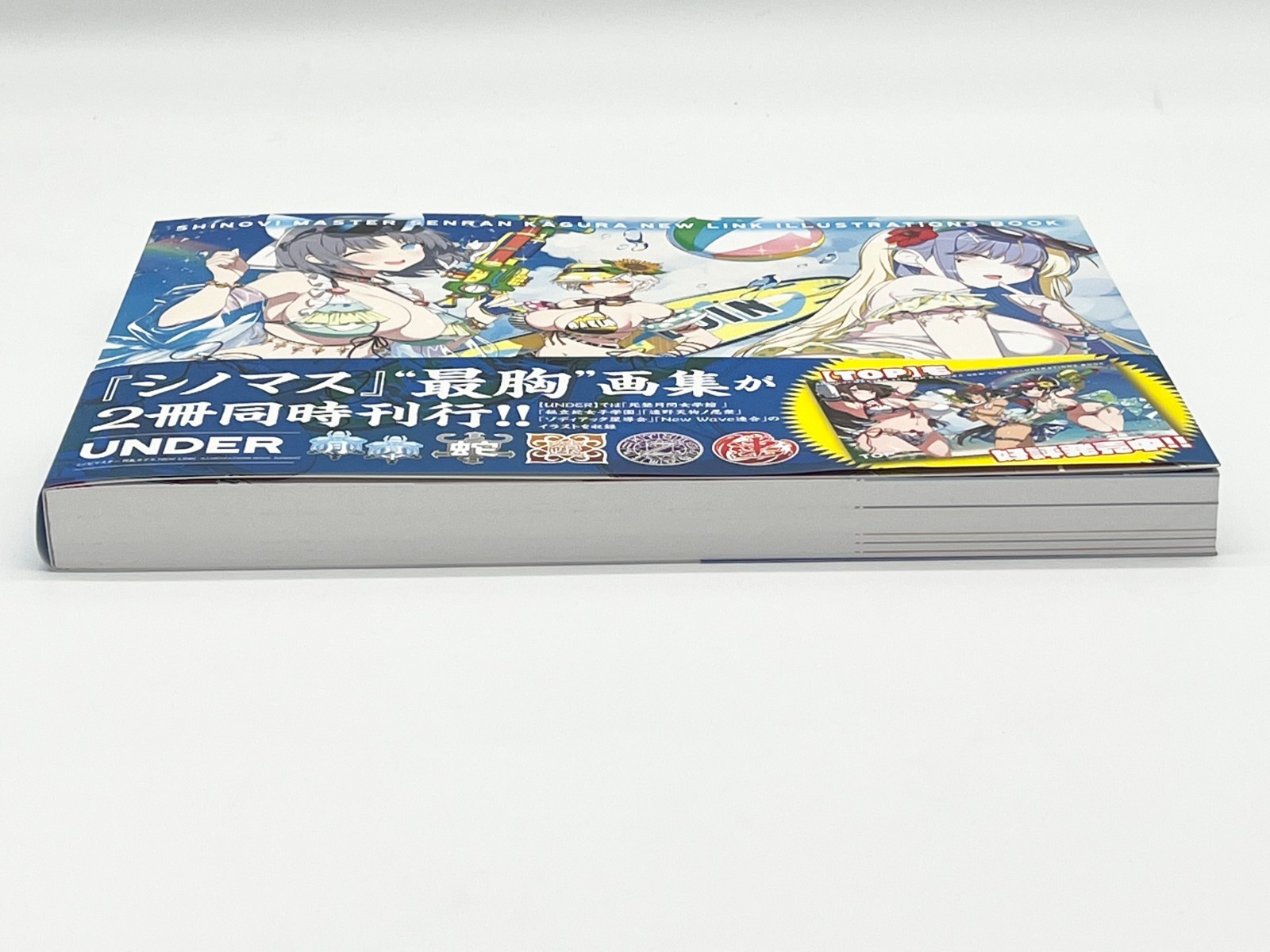Shinobi Master Senran Kagura New Link Illustrations Book Vol 1-2 Japanese Text