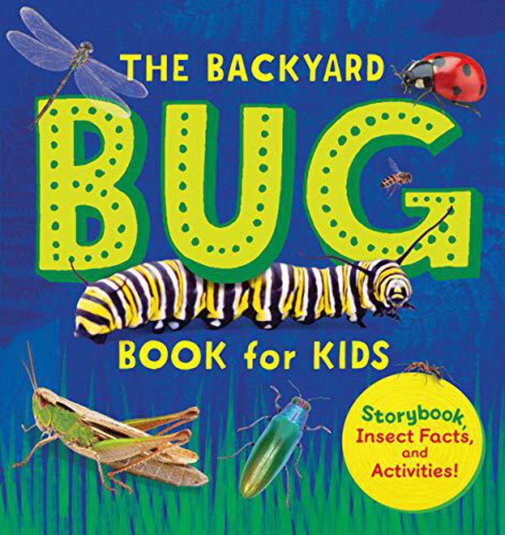The Backyard Bug Book for Kids by Lauren Davidson Paperback VERY GOOD
